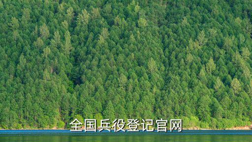 全國兵役登記官網