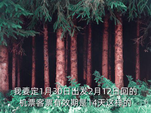 我要定1月30日出發(fā)2月12日回的機(jī)票客票有效期是14天這樣的