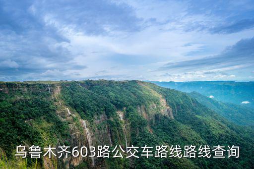 烏魯木齊603路公交車路線路線查詢