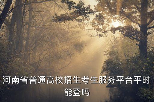 河南省普通高校招生考生服務(wù)平臺(tái)平時(shí)能登嗎
