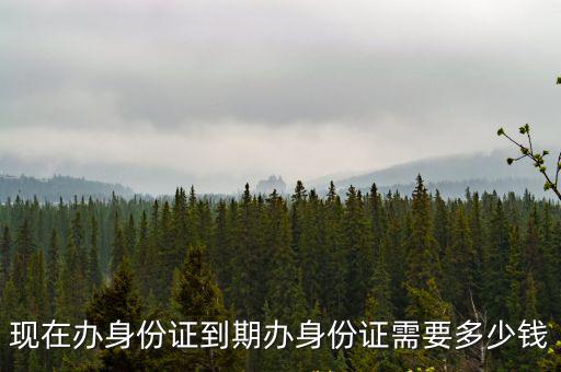 現在辦身份證到期辦身份證需要多少錢