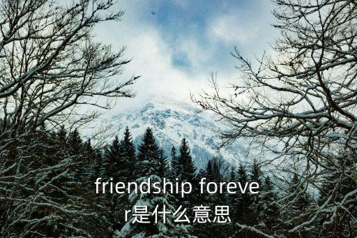 friendship forever是什么意思