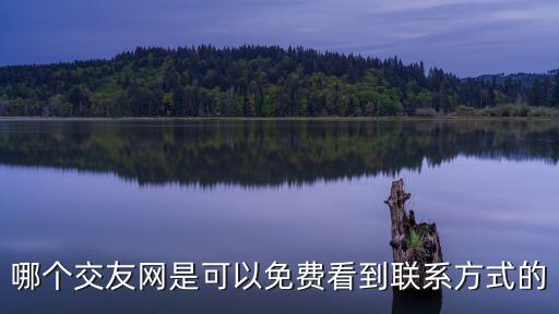 哪個交友網(wǎng)是可以免費看到聯(lián)系方式的