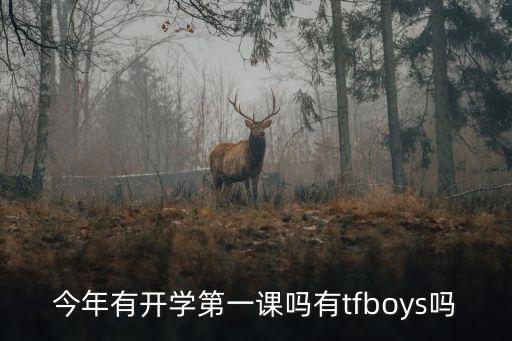 今年有開學第一課嗎有tfboys嗎