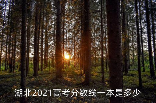 湖北2021高考分數線一本是多少