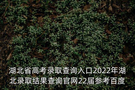 湖北省高考錄取查詢?nèi)肟?022年湖北錄取結(jié)果查詢官網(wǎng)22屆參考百度