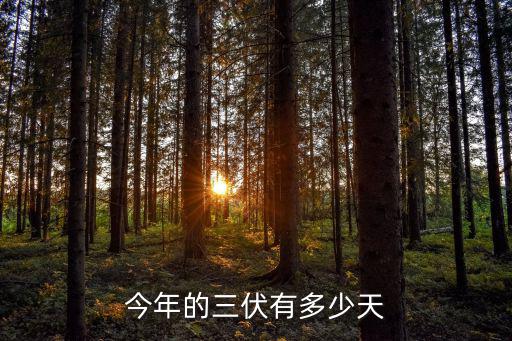 今年的三伏有多少天