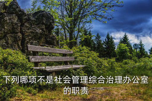 下列哪項不是社會管理綜合治理辦公室的職責