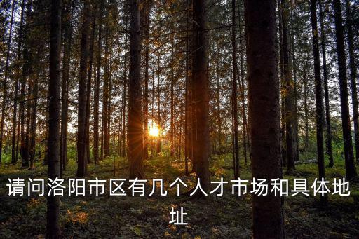 請問洛陽市區(qū)有幾個人才市場和具體地址