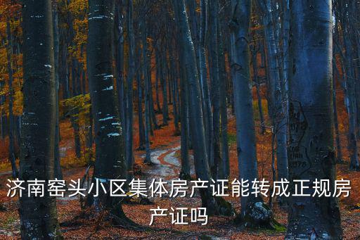 濟南窯頭小區集體房產證能轉成正規房產證嗎
