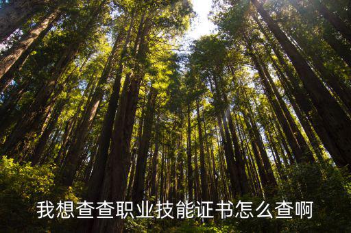 我想查查職業技能證書怎么查啊