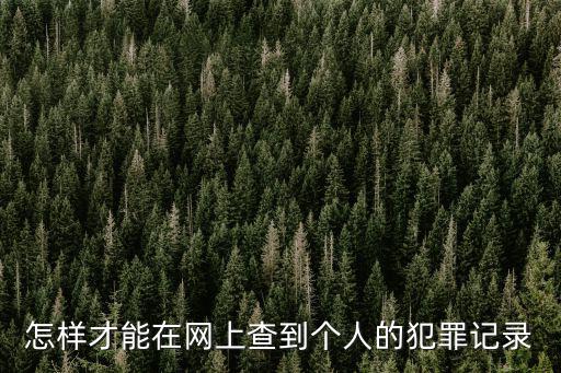 怎樣才能在網(wǎng)上查到個人的犯罪記錄