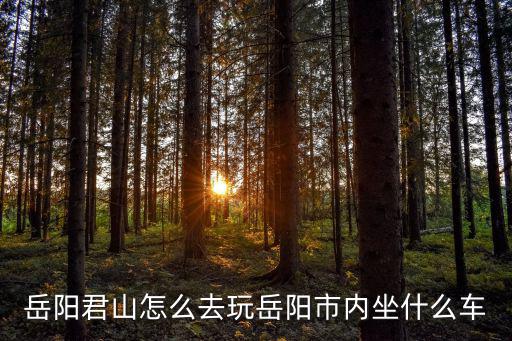 岳陽(yáng)君山怎么去玩岳陽(yáng)市內(nèi)坐什么車