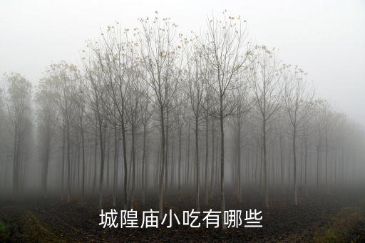 城隍廟小吃有哪些