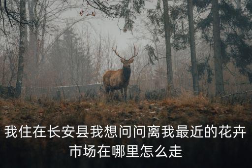 我附近的花卉市場(chǎng)，我住在長(zhǎng)安縣我想問(wèn)問(wèn)離我最近的花卉市場(chǎng)在哪里怎么走