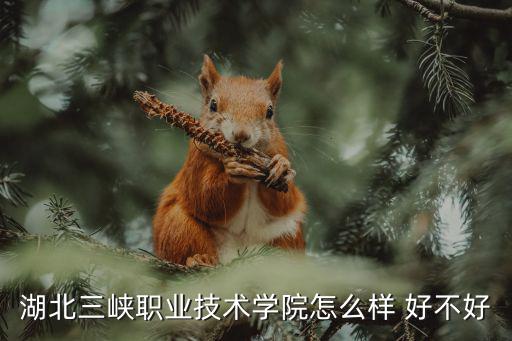 湖北三峽職業(yè)技術(shù)學(xué)院怎么樣 好不好
