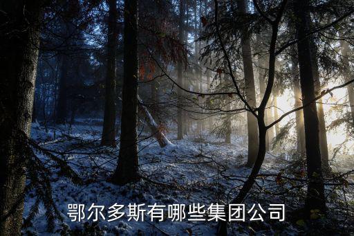 鄂爾多斯有哪些集團(tuán)公司