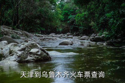 天津到烏魯木齊火車票查詢