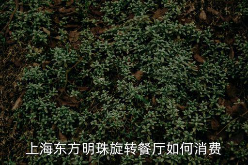上海東方明珠旋轉(zhuǎn)餐廳如何消費