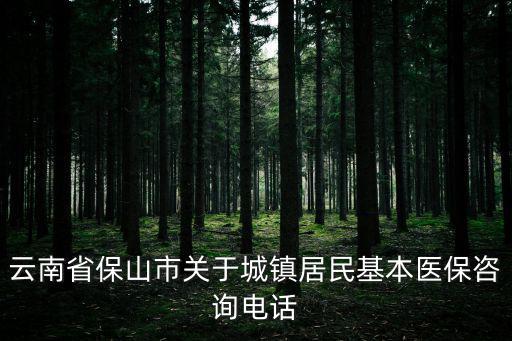 云南省保山市關于城鎮居民基本醫保咨詢電話