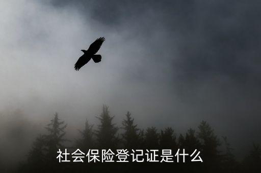 社會保險登記證是什么