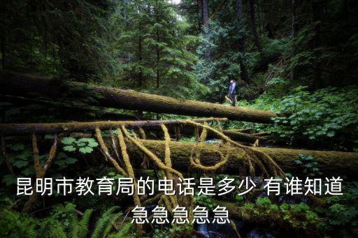昆明市教育局的電話是多少 有誰知道 急急急急急