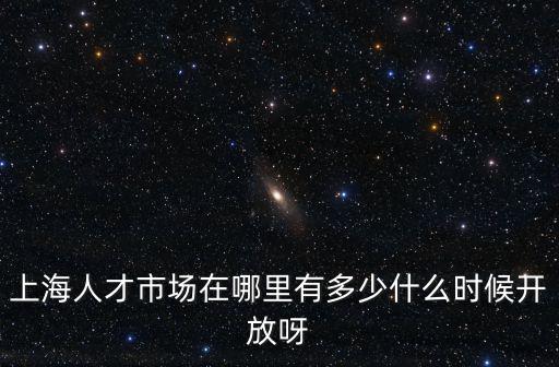上海人才市場在哪里有多少什么時候開放呀