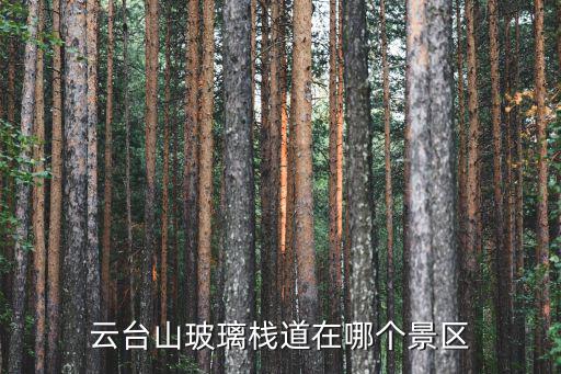 云臺山玻璃棧道在哪個景區