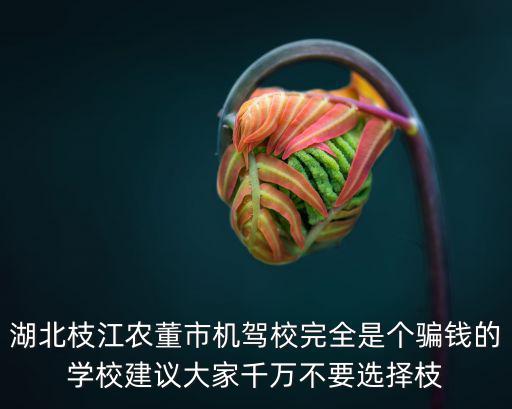 湖北枝江農(nóng)董市機(jī)駕校完全是個(gè)騙錢的學(xué)校建議大家千萬不要選擇枝