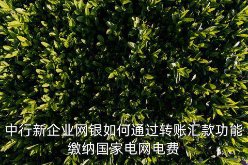 中行新企業網銀如何通過轉賬匯款功能繳納國家電網電費