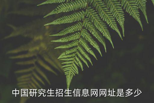 中國研究生招生信息網網址是多少