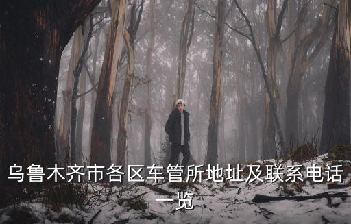 烏魯木齊車管所，烏魯木齊的車輛運輸管理所在哪里