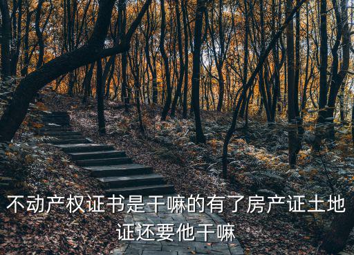 不動產(chǎn)權(quán)證書是干嘛的有了房產(chǎn)證土地證還要他干嘛
