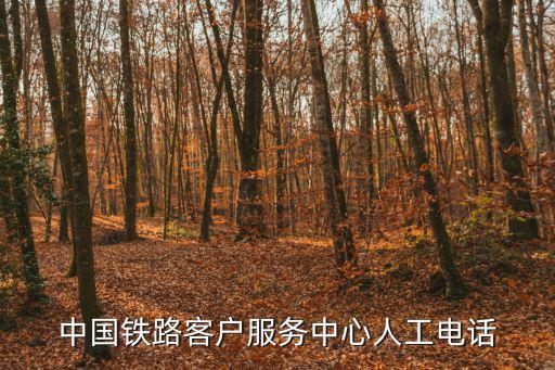 中國(guó)鐵路客戶服務(wù)中心人工電話