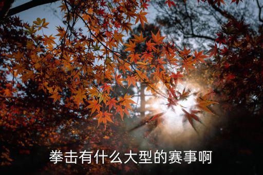 拳擊有什么大型的賽事啊