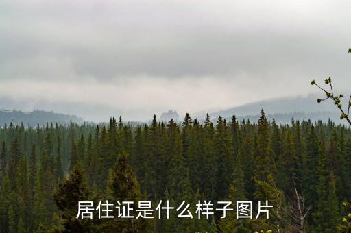 居住證是什么樣子圖片