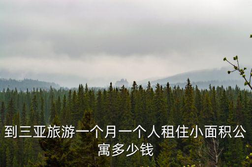 到三亞旅游一個(gè)月一個(gè)人租住小面積公寓多少錢