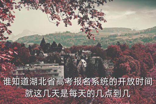 誰知道湖北省高考報名系統的開放時間就這幾天是每天的幾點到幾