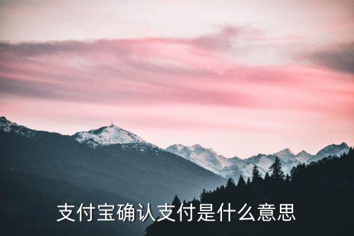 支付寶確認支付是什么意思