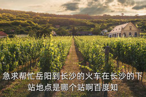 岳陽到長沙高鐵，岳陽到長沙的12月開動的動車是多少分鐘一趟