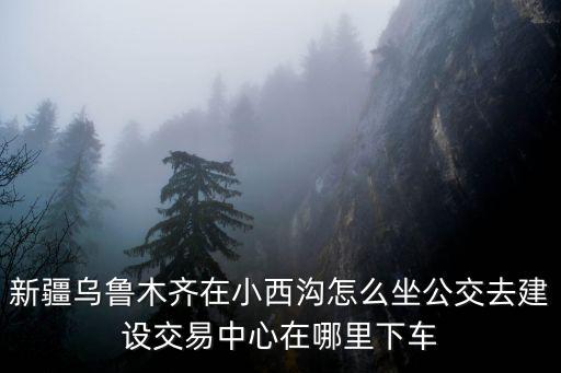 新疆烏魯木齊在小西溝怎么坐公交去建設交易中心在哪里下車