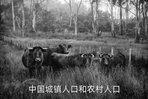 中國城鎮人口和農村人口