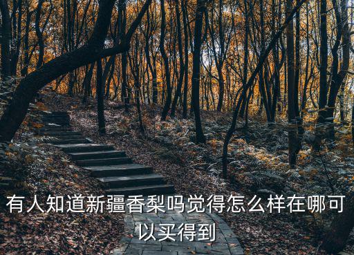 新疆香梨，新疆香梨是什么品種