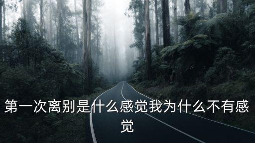 第一次離別是什么感覺我為什么不有感覺