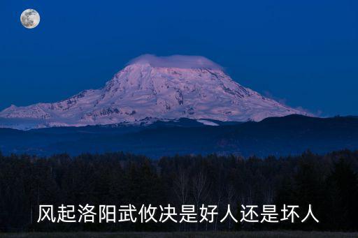洛陽武，風起洛陽武攸決是好人還是壞人