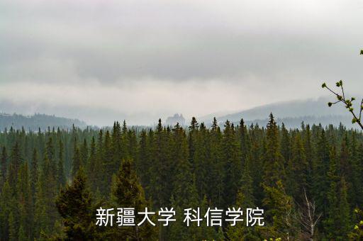 新疆大學(xué) 科信學(xué)院