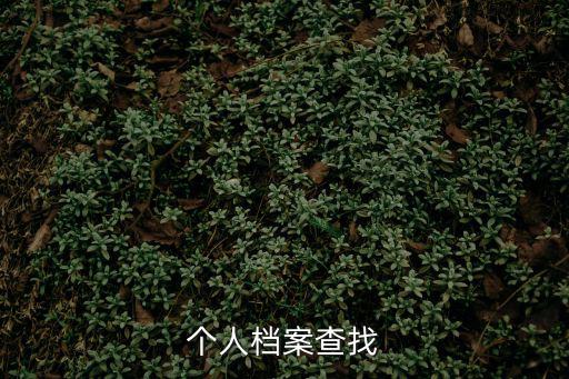 個人檔案查找