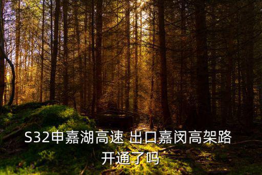 嘉閔線最新消息，哪位大俠知道上海嘉閔線與11號線交匯點(diǎn)是南翔站還是陳翔站