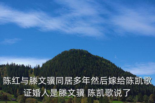 陳紅與滕文驥同居多年然后嫁給陳凱歌證婚人是滕文驥 陳凱歌說了