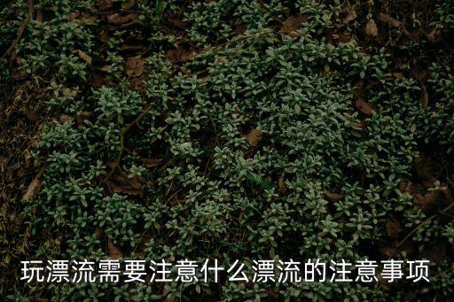 玩漂流需要注意什么漂流的注意事項